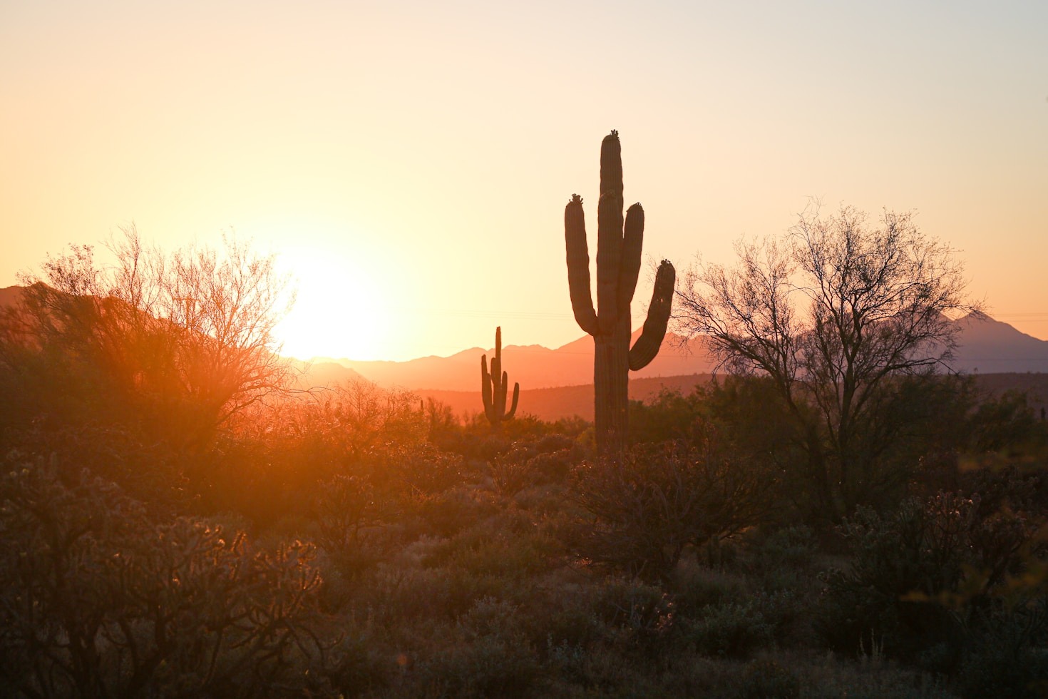 Exploring Introspection Through Desert Soundscapes